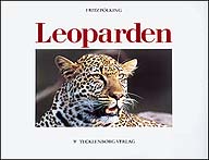 Leoparden
