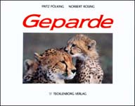 Geparde