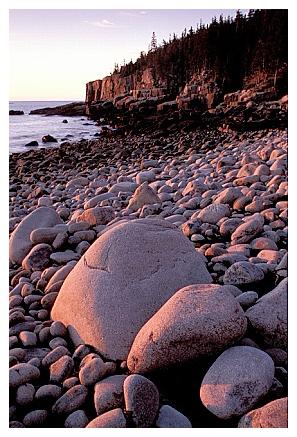 ../Images/acadia36.jpg
