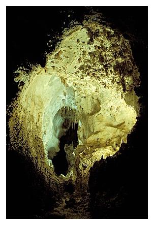 ../Images/carlbad27.jpg