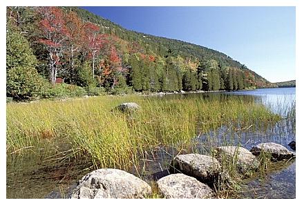 ../Images/gp-acadia32.jpg