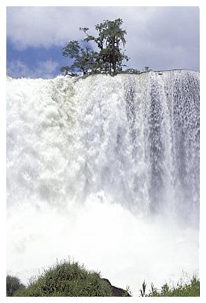 ../Images/gp-iguazu08.jpg