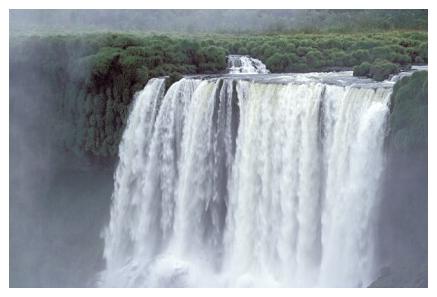 ../Images/iguaforest29.jpg