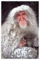 Thumbs/tn_snowmonkey12.jpg