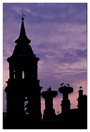 ../Images/wesstorch12.jpg