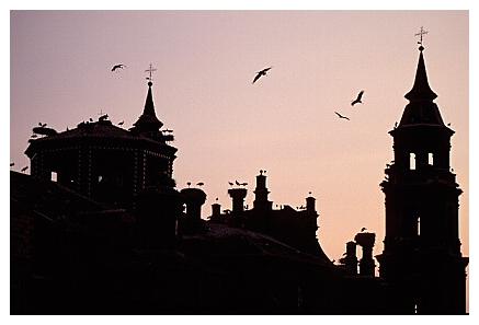 ../Images/wesstorch26.jpg