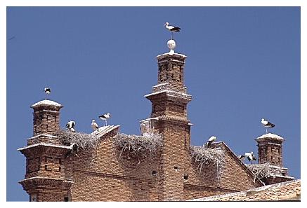 ../Images/wesstorch27.jpg