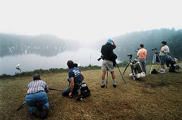 wb0001.jpg (22754 Byte)